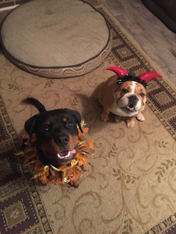 Halloween Fun