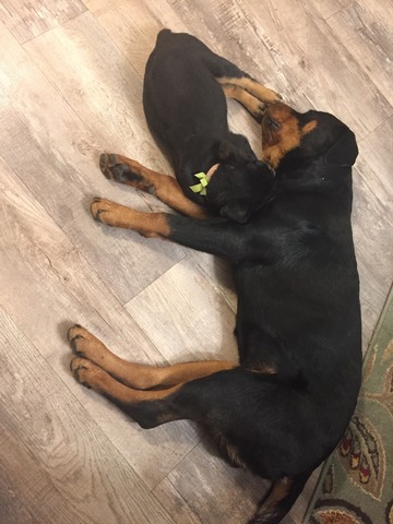 Snuggle Time