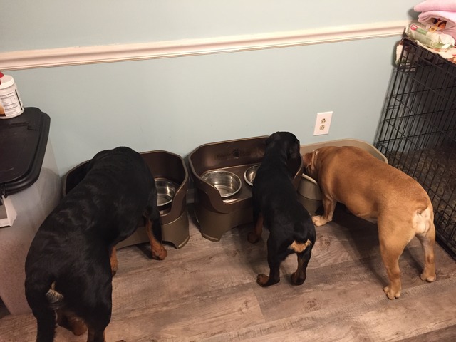 Dinner time